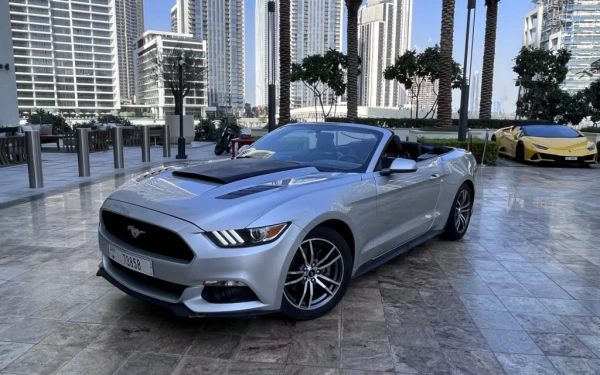 Ford Mustang-Cabrio 2018 Silver